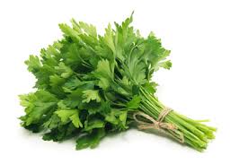 Fresh Parsley Bunch