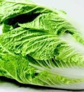 Chinese Cabbage – Single