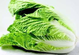 Chinese Cabbage – Single