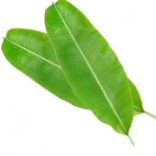 Banana Leaf 2pcs