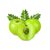 Amla Fruit 250g