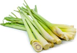 Lemon Grass (Bunch)